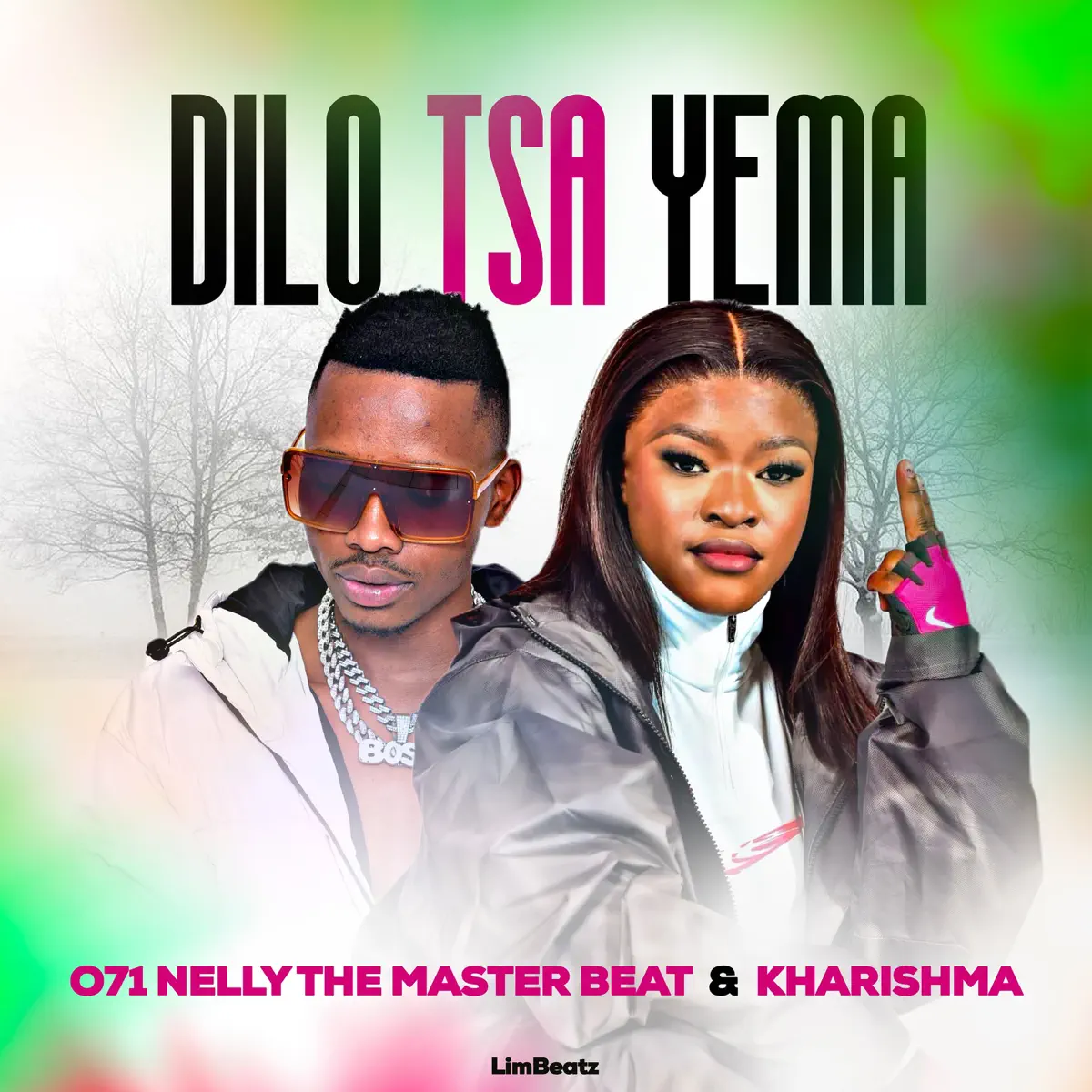 071 Nelly The Master Beat & Kharishma - Dilo Tsa Yema