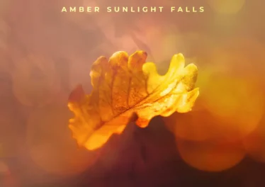 A.M.R & Cornelius SA - Amber Sunlight Falls Afro House King