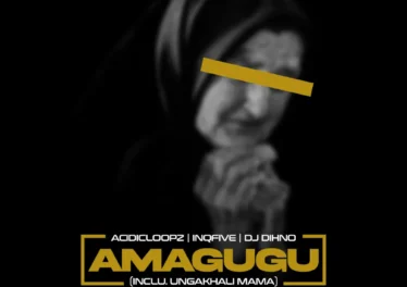 Acidicloopz, InQfive & DJ DIHNO - Amagugu (feat. Salga) Afro House King