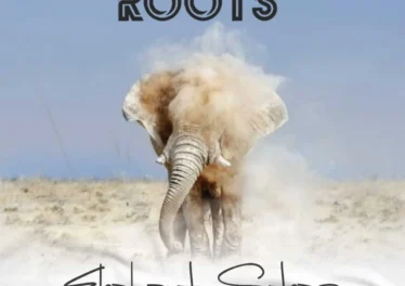 Afrikan Roots - Elephant Steps Afro House King