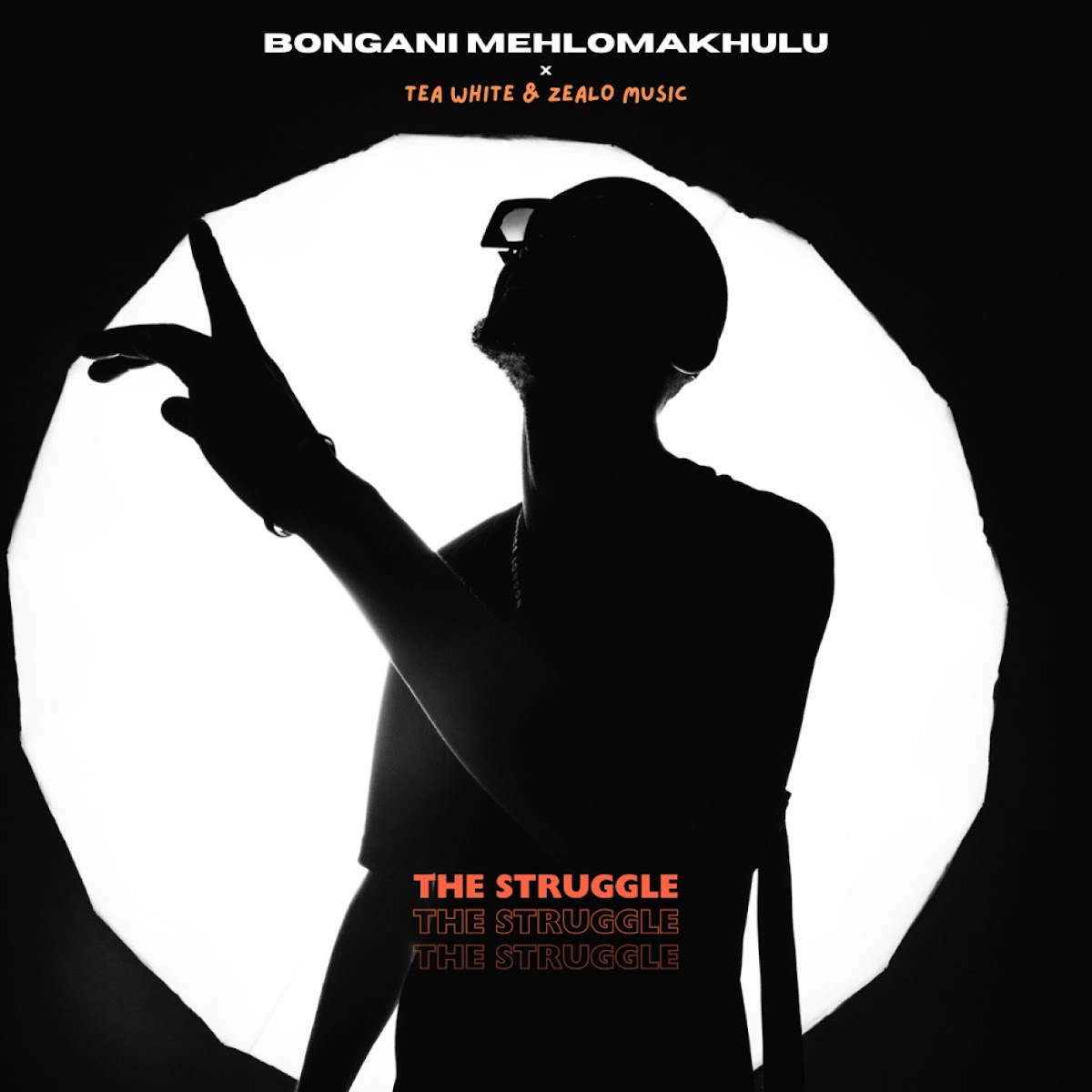  Bongani Mehlomakhulu - The Struggle (feat. Tea White & Zealo Music)