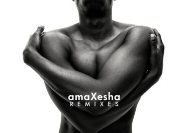 Bongeziwe Mabandla - thula (Da Capo Remix) Afro House King