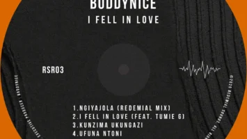 Buddynice - I Fell In Love EP Afro House King