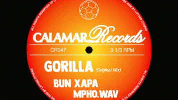 Bun Xapa & Mpho.Wav - Gorilla Afro House King