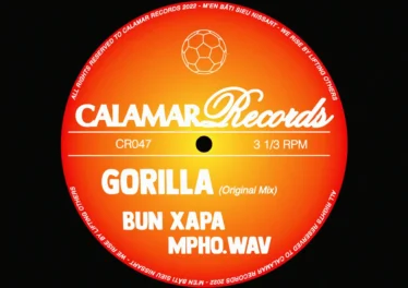 Bun Xapa & Mpho.Wav - Gorilla Afro House King