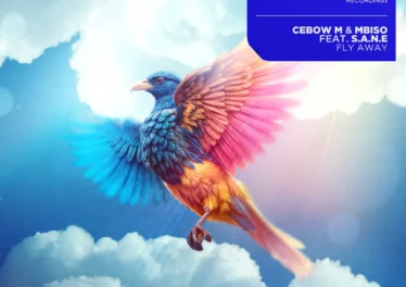 Cebow M & MBISO - Fly Away (feat. S.A.N.E) Afro House King