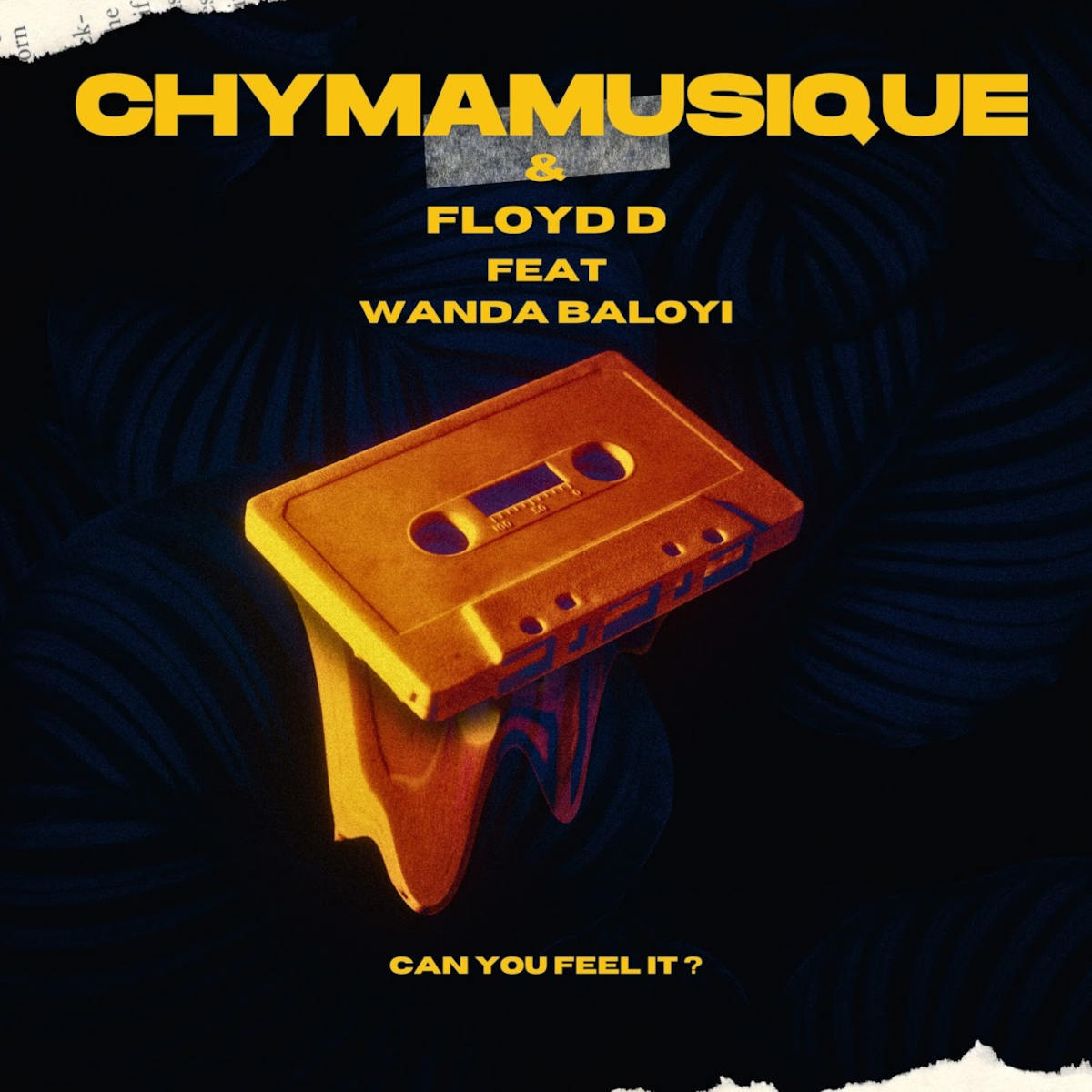  Chymamusique & Floyd D - Can You Feel It? (feat. Wanda Baloyi)