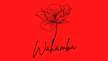 CocoSA & Sipho Magudulela - Wahamba (feat. Ssips & NeleSA) Afro House King