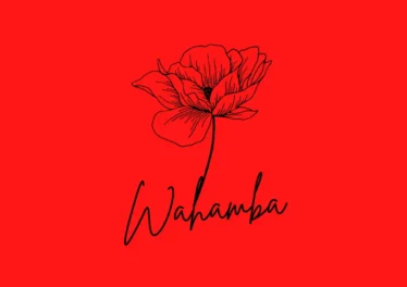 CocoSA & Sipho Magudulela - Wahamba (feat. Ssips & NeleSA) Afro House King