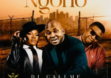 DJ Call Me - Ngoho (feat. Makhadzi & DJ Janisto) Afro House King