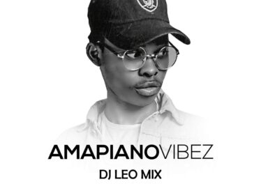 Dj Léo Mix - Amapiano Vibez Mixtape Afro House King