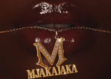 Fake'well & Mellow & Sleazy - Mjakajaka (feat. Marsey & Mpho Spizzy) Afro House King