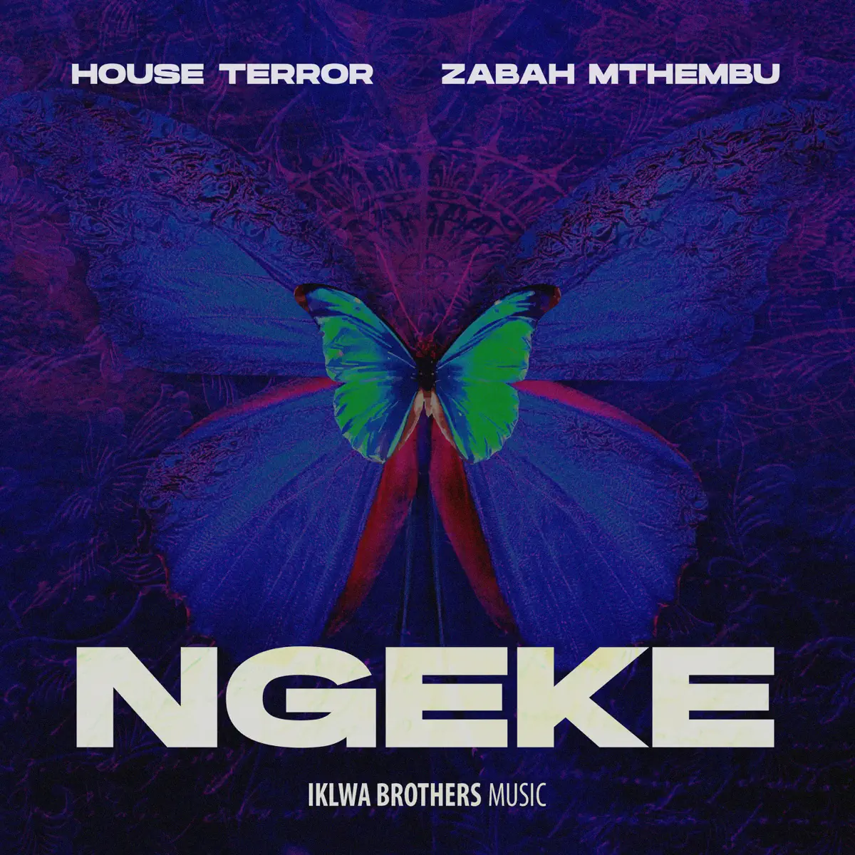  House Terror & Zabah Mthembu - Ngeke