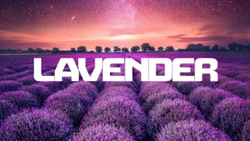InQfive, BusyExplore & Cyatt RSA - Lavender EP Afro House King