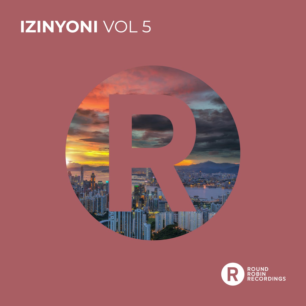 Various Artists -  Izinyoni, Vol. 5