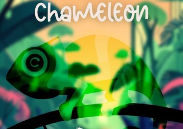June Jazzin & Rona Ray - Chameleon Afro House King