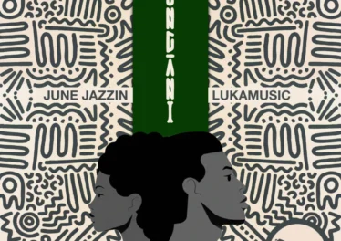 June Jazzin & Lukamusic - Kungani Afro House King