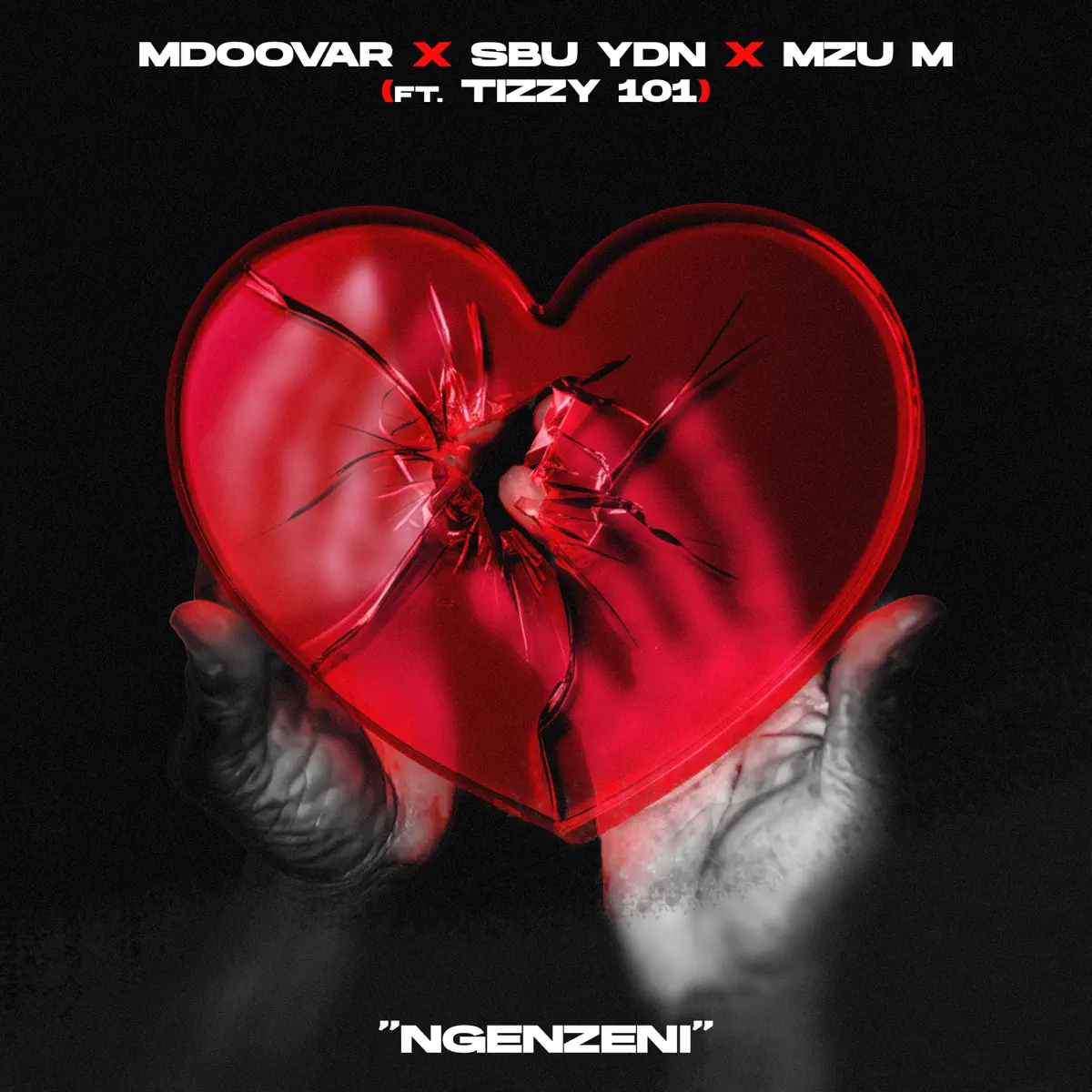  Mdoovar, Sbu YDN & Mzu M - Ngenzeni (feat. Tizzy 101)