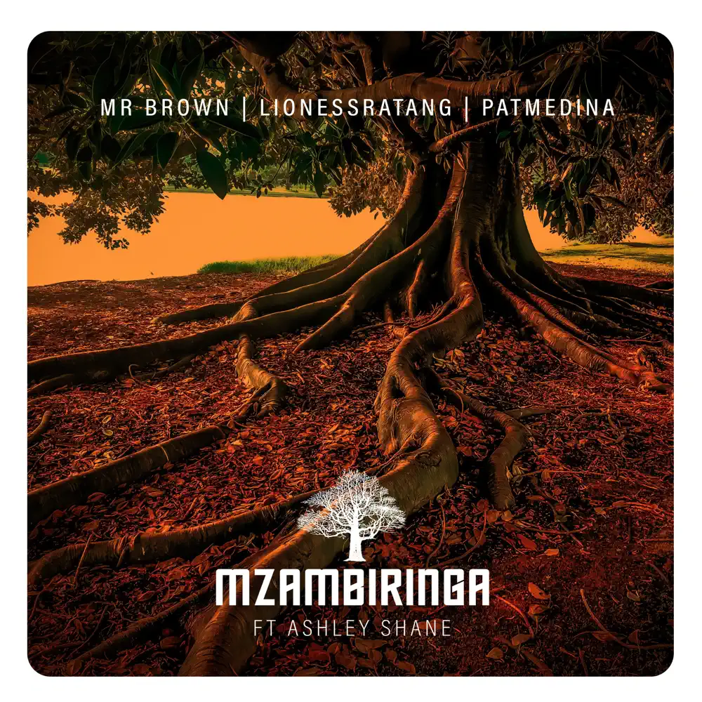  Mr Brown - Mzambiringa (feat. LionessRatang, Pat Medina & Ashley Shane)