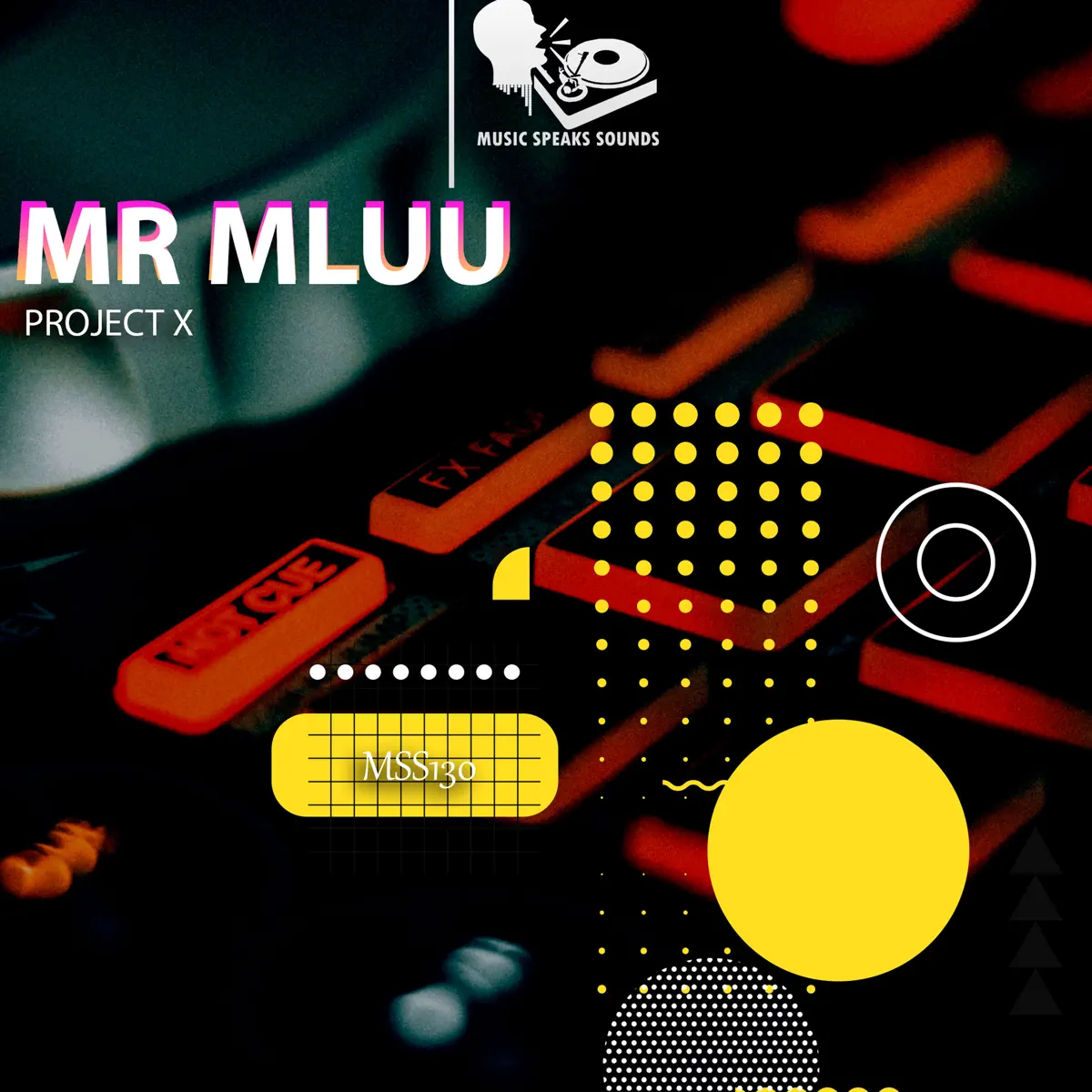  Mr Mluu - Project X EP