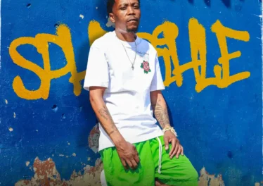 Msaro - Sphesihle (Album) Afro House King