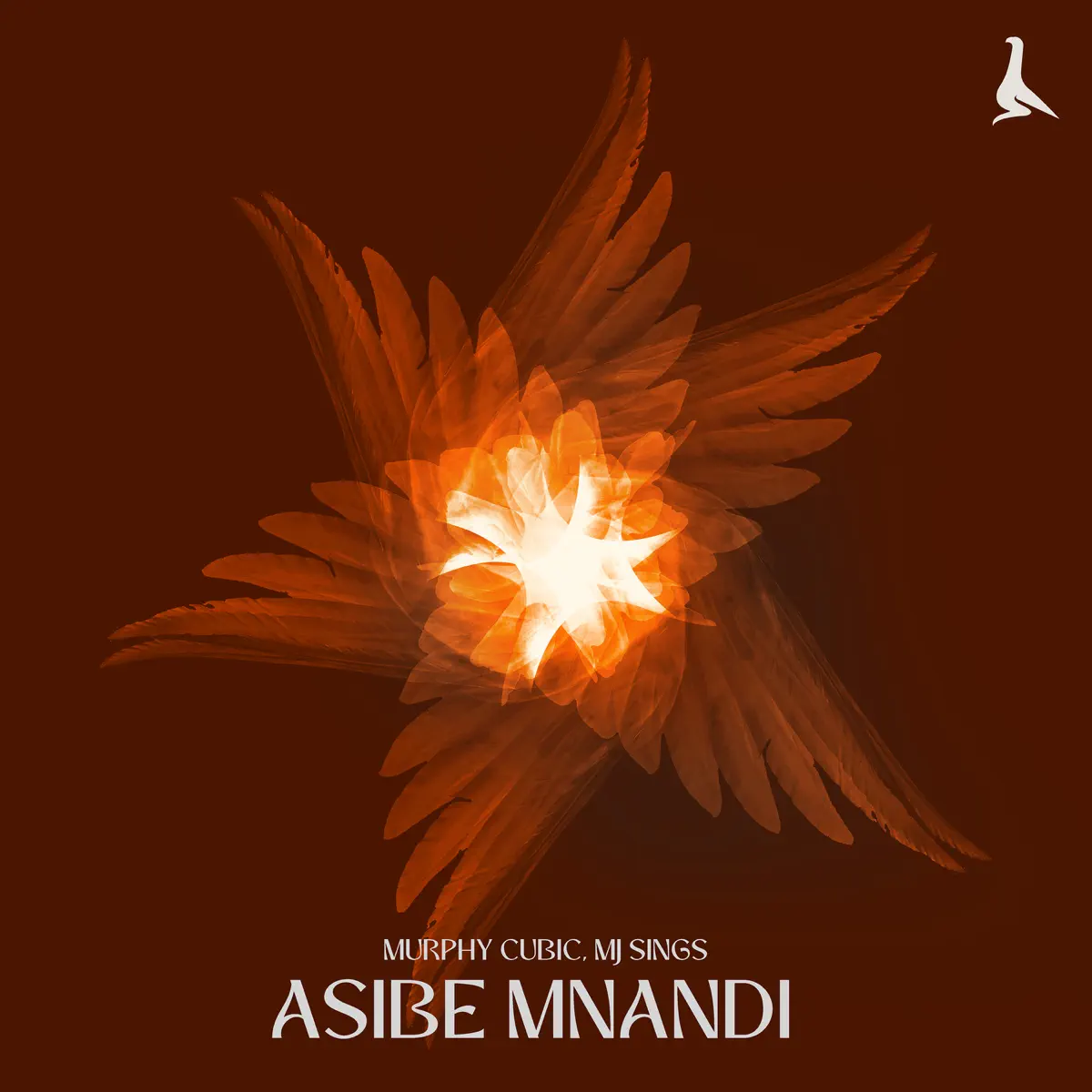  Murphy Cubic & MJ Sings - Asibe Mnandi