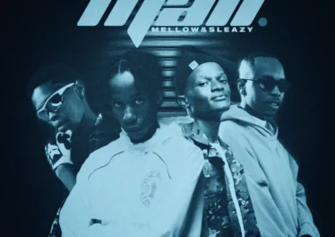 Novatron, Hotfurze & Mellow & Sleazy - Mali (feat. Mpho Spizzy & D' Braz) Afro House King