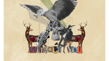 Nuno Estevez - Without You (Remixes) Afro House King