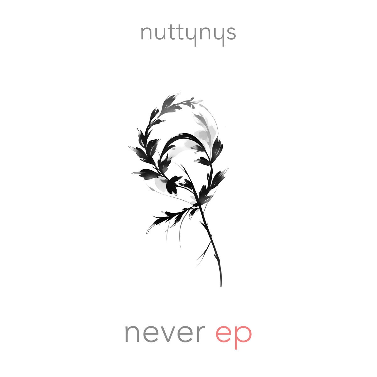   - nys/" target="_blank" rel="noopener">Nutty Nys - Never EP