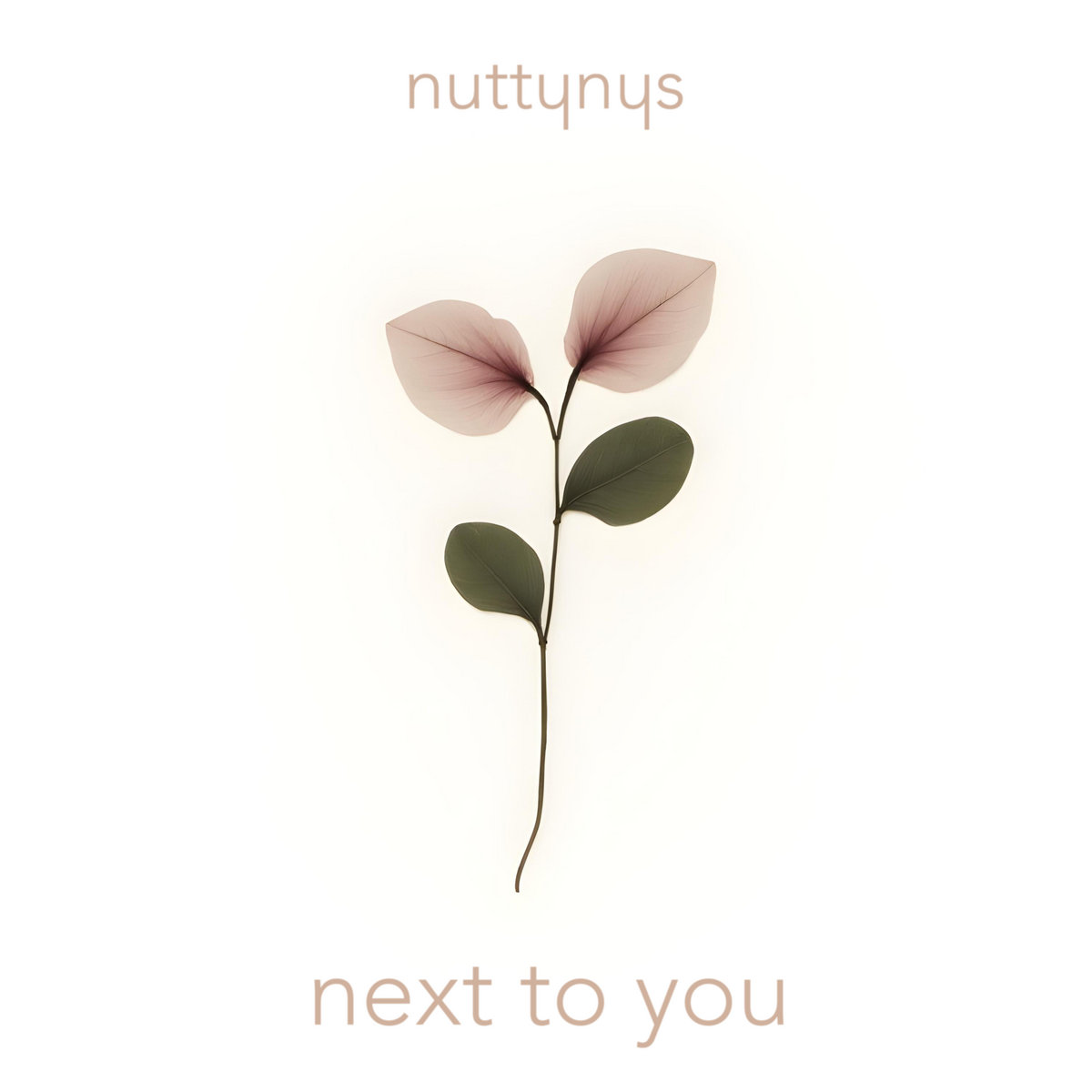  Nutty Nys - Next To You