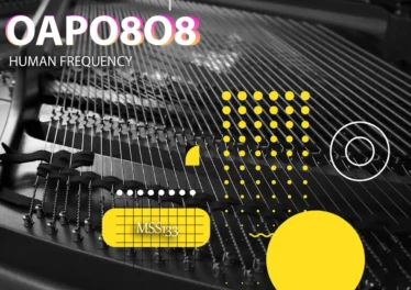 OAPO8O8 - Human Frequency EP Afro House King