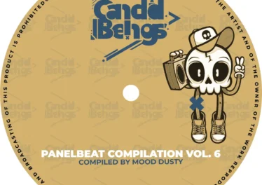 Panel Beat Compilation Vol.6 (Compiled By Mood Dusty) Afro House King