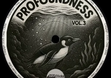 VA - Profoundness, Vol. 3 Afro House King