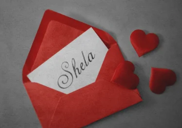 Sam Deep, Nia Pearl & Boohle - Shela (feat. Mano) Afro House King