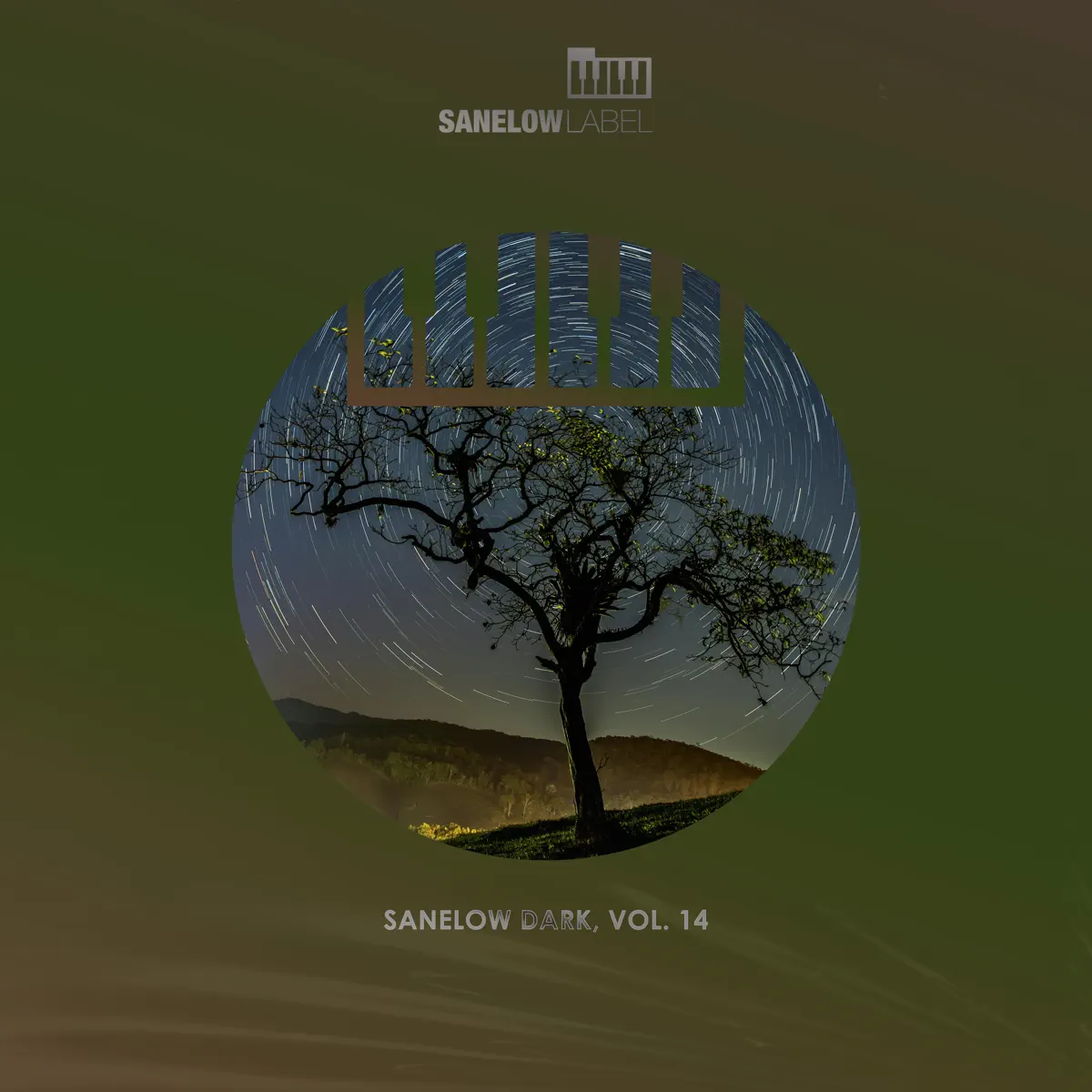 Various Artists -  Sanelow Dark, Vol. 14