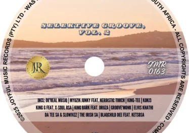 VA - Selektive Groove, Vol. 2 Afro House King