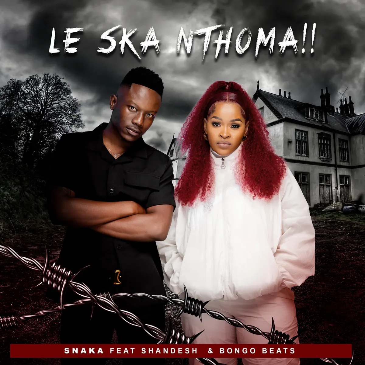  Snaka - Les Ka Nthoma (feat. Shandesh & Bongo Beats)