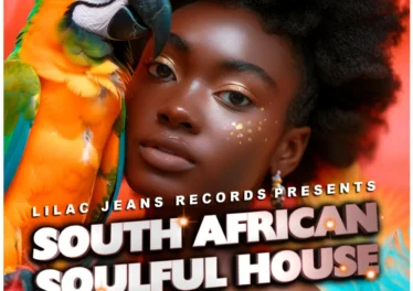 VA - South African Soulful House Vol. 8 Afro House King