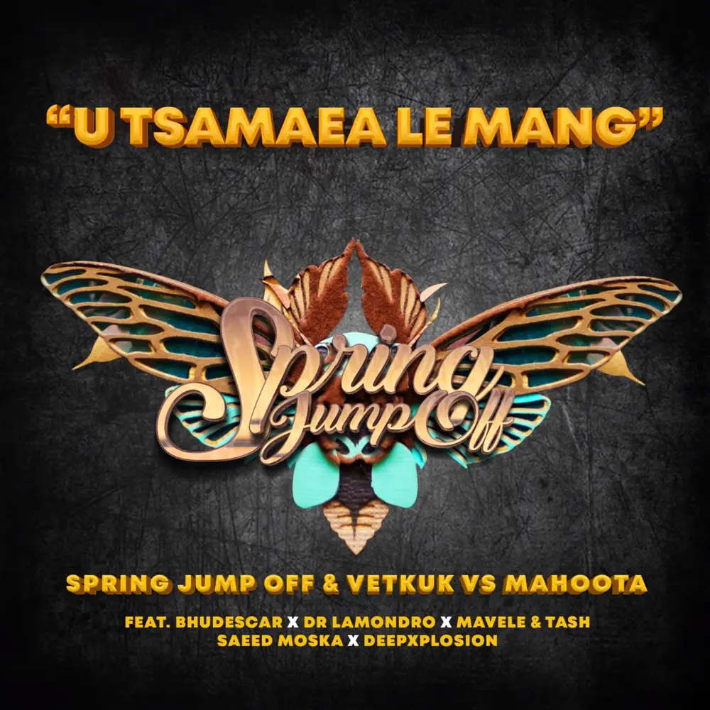 Spring Jump Off, Vetkuk & Mahoota - U Tsamaea Le Mang (feat. Dr Lamondro, Mavele, Saeed Moska & Tash Ls)
