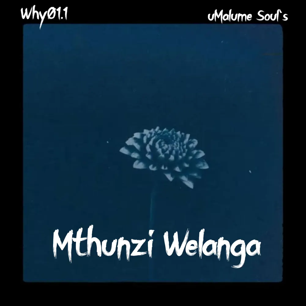  Why01.1 & uMalume Soul's - Mthunzi Welanga
