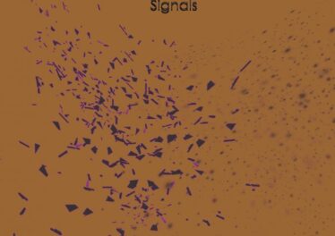 V-Vyper - Signals (Remixes) 13 V-Vyper - Signals (Remixes) Afro House King