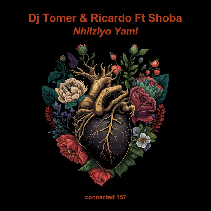  DJ Tomer, Ricardo & Shoba - Nhliziyo Yami