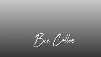 Bee Collen - Pasop (Original Mix) 5 Bee Collen - Pasop (Original Mix) Afro House King