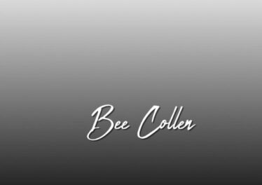 Bee Collen - Pasop (Original Mix) Afro House King