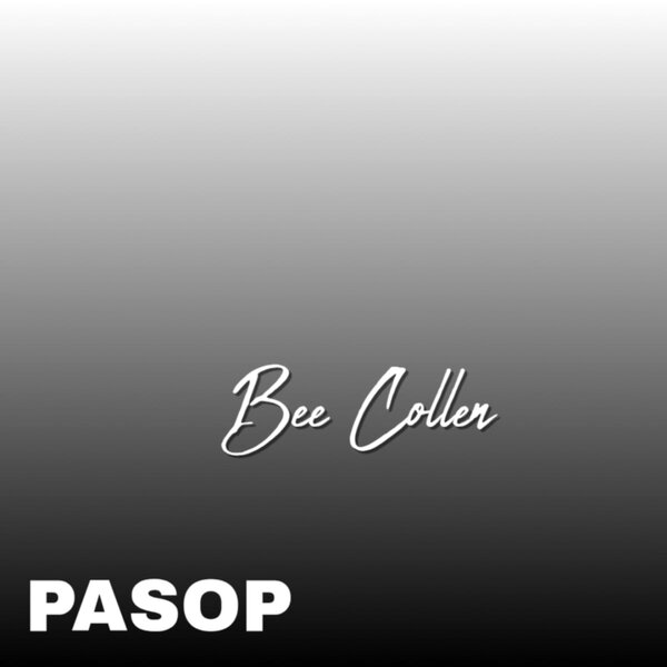 Bee Collen - Pasop (Original Mix) 1  Bee Collen - Pasop (Original Mix)