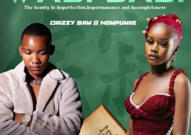 Drizzy Sam (RSA) & Nompumiie - Wabi Sabi EP Afro House King