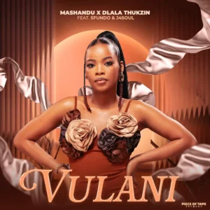 MaShandu & Dlala Thukzin - Vulani (feat. Sfundo & J4soul) 1 MaShandu & Dlala Thukzin - Vulani (feat. Sfundo & J4soul)