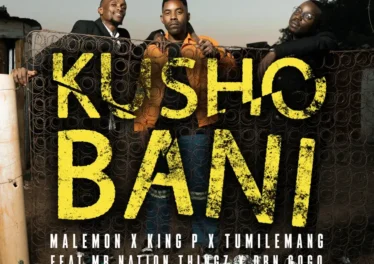Malemon, Tumilemang & King P - Kusho Bani (feat. DBN Gogo & Mr Nation Thingz) Afro House King