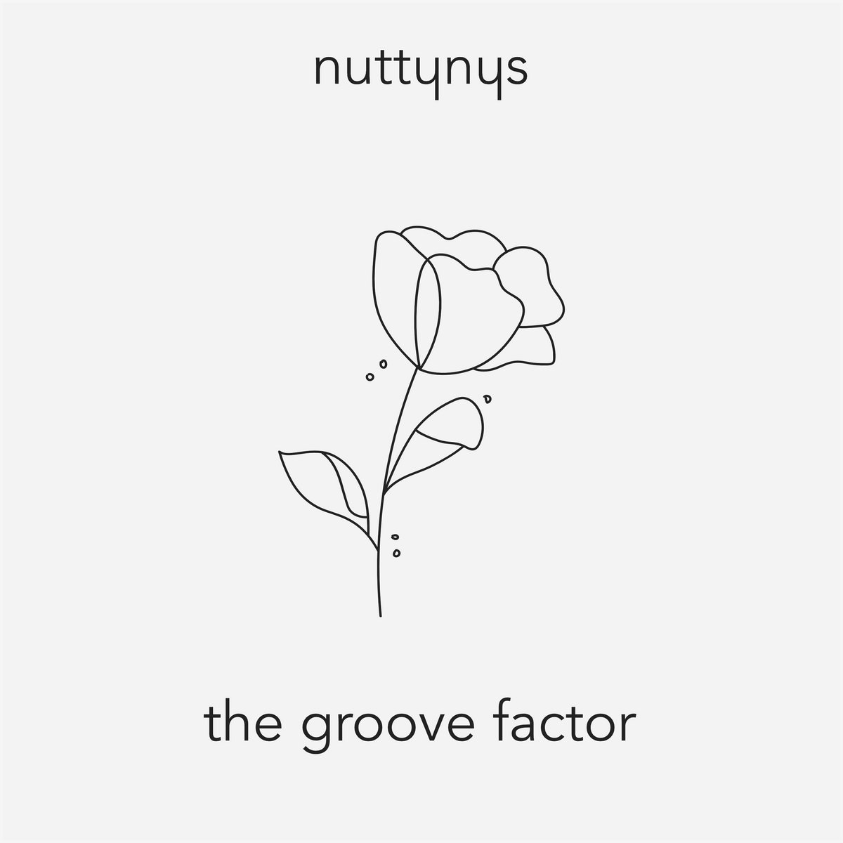 Nutty Nys - The Groove Factor 1  Nutty Nys - The Groove Factor