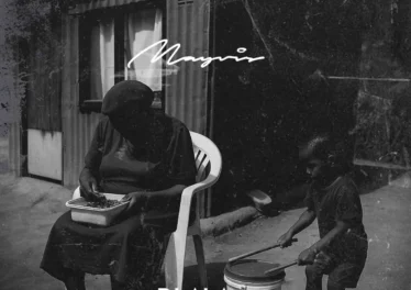 Dlala Thukzin - MAYVIS (Album) Afro House King